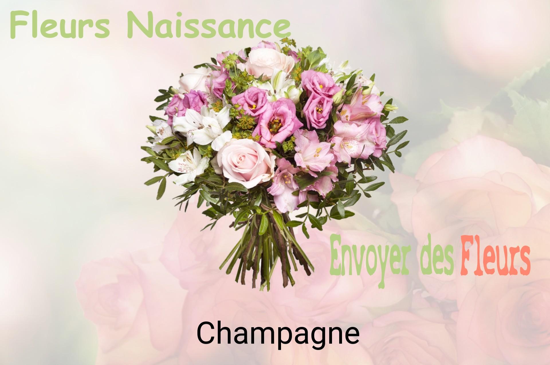 Bouquet de fleurs de naissance livré à Champagne